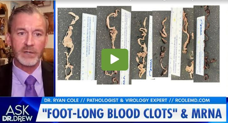 Dr. Ryan Cole Discusses the Covid-19 Jab Claims: Graphene Oxide, Nanotech and Parasites